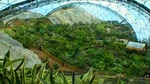 eden_project_gardening_of_eden04.jpg