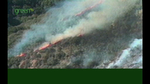 nwf_western_wildfires04.jpg