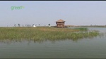 china_wetlands003.jpg