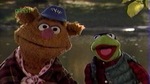 nwf_muppets103.jpg