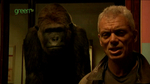 onsight_alfred_the_gorilla02.jpg