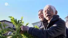 都市農業