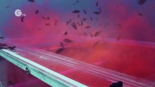 翻訳済ClimateChange2