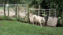 A Celebration of Wildlife-friendly Farmers