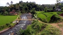 Landscapes