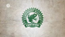 What Is the Rainforest Alliance