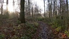 翻訳済The wonder of winter walking