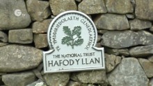 hafody llan