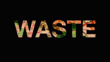 waste