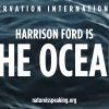 ハリソン・フォード/ Nature Is Speaking 「海 / Ocean」