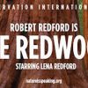 ロバート・レッドフォード/ Nature Is Speaking 「Redwood / セコイア杉」