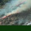 増え続ける山火事～地球温暖化の影響