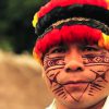 アマゾン先住民が見る夢