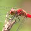 生物多様性と人間の共生を考える